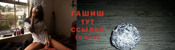 индика Богородск