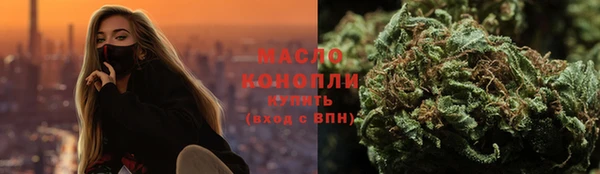 индика Богородск