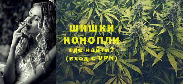 дмт Богданович