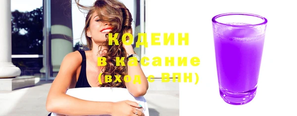 индика Богородск