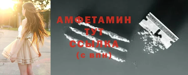 сатива Козельск