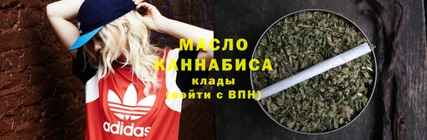 индика Богородск