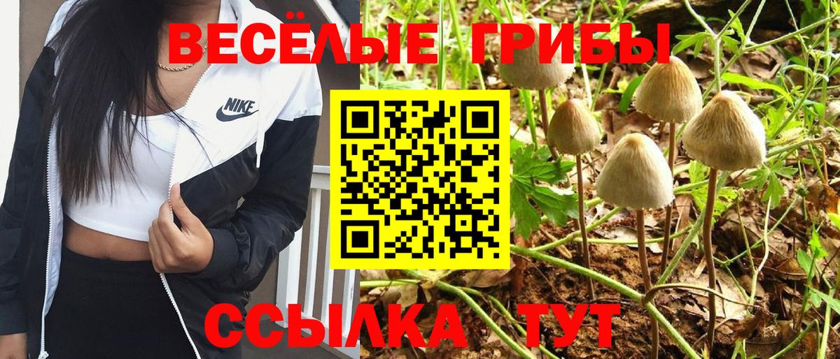 Псилоцибиновые грибы ЛСД Спасск-Дальний