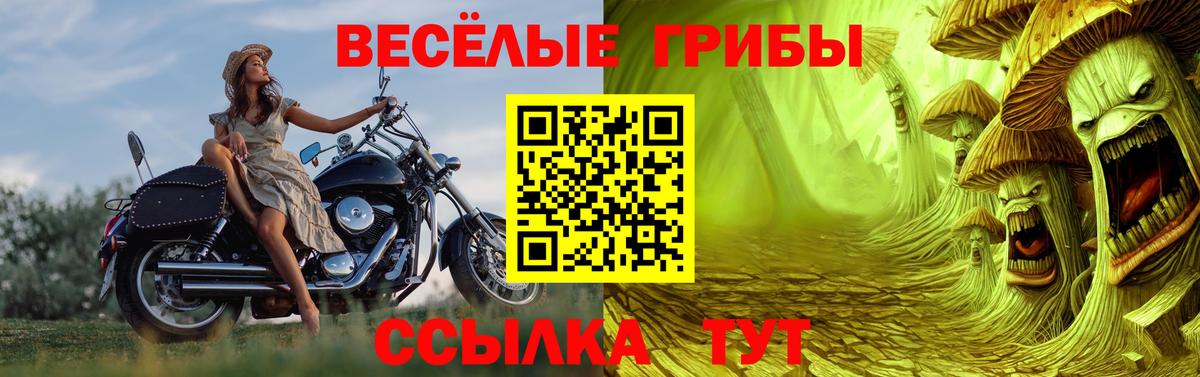 Галлюциногенные грибы прущие грибы  Галлюциногенные грибы Cubensis  Вход с VPN  Спасск-Дальний 